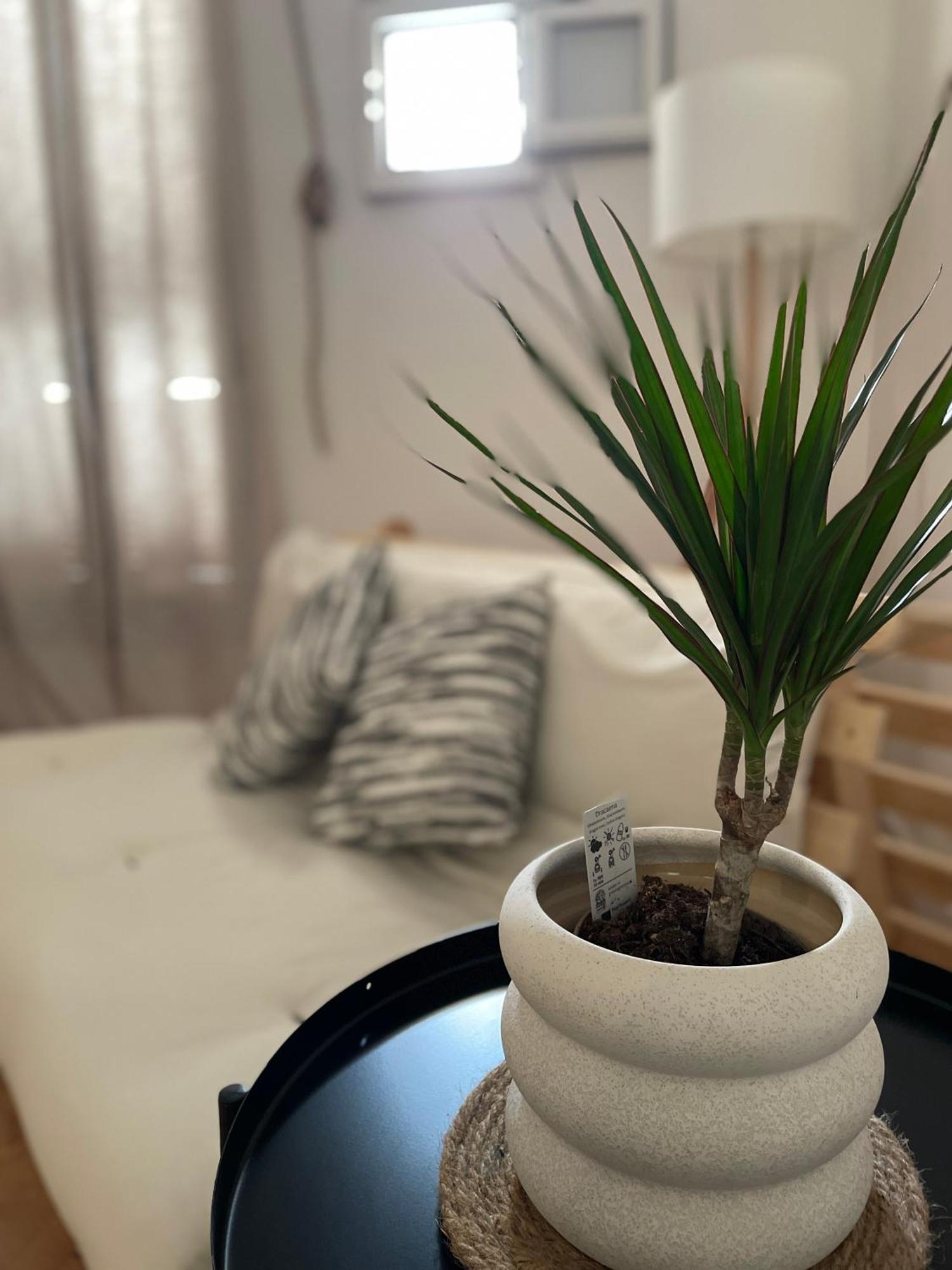 Willa Casa Mia Mola di Bari Zewnętrze zdjęcie